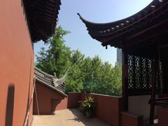 -上海白云观