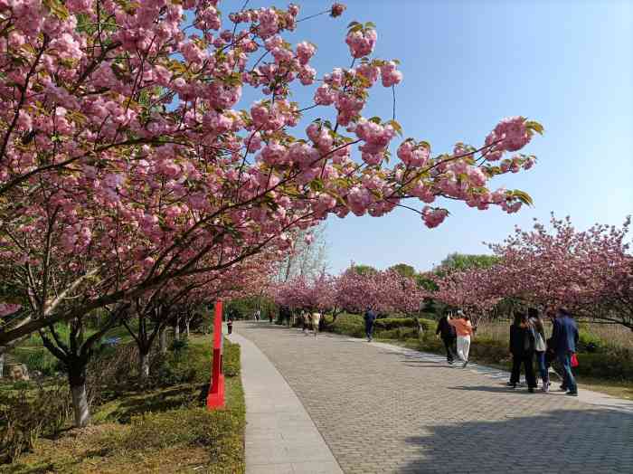 苏州花卉植物园