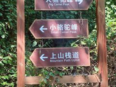 -大岭沟猕猴桃谷风景区
