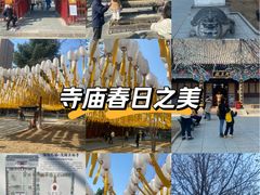-护国法轮寺