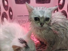 -沐沐家宠物(成寿寺店)