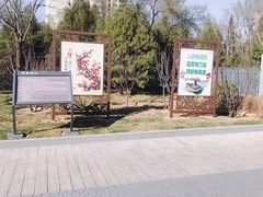 -迎泽公园