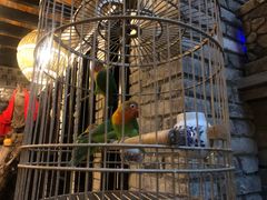 -鱼桥巷·美学川菜