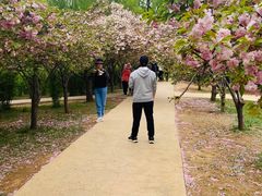 -石家庄市植物园