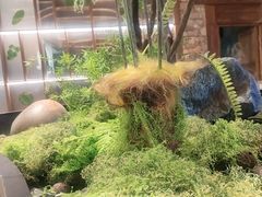 -滇铺子·云南特色菜·鲜花野菜季(曲靖万达店)