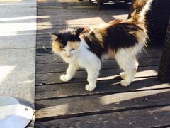 民族园智选假日酒店-北京民族园葉子里酒店(鸟巢店)