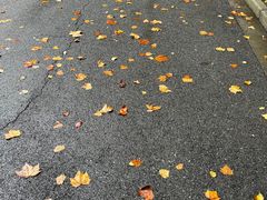 -上海吴淞炮台湾国家湿地公园
