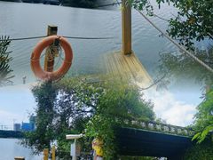 -华侨城湿地公园