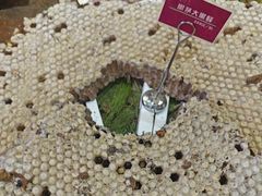 -银生食府·普洱菜(金星店)