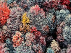 -罗红摄影艺术馆