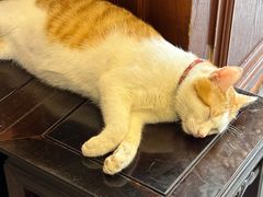 -永和鱼丸(南后街店)