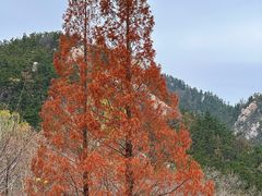 -崂山九水游览区