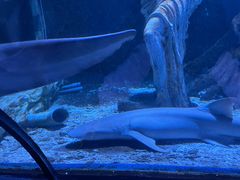 -太平洋海底世界