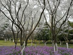 -白塘生态植物园