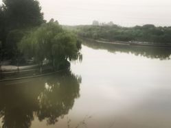-卓玥国际月子会所(罗山路店)