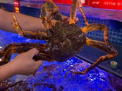 -驻海渔市(置信店)