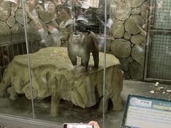 -黔灵山公园