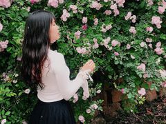 -白鹭湾湿地公园