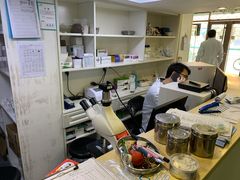 -安安宠医·安宠宠物医院