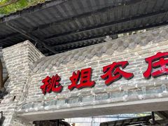 -桃姐农庄老字号(从化温泉店)