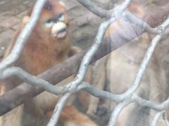 -西安秦岭野生动物园