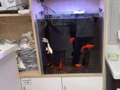 -中国农业大学动物医院