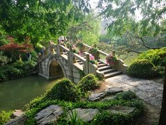 -上海醉白池公园