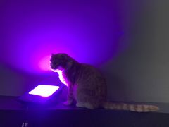 -极木²邸 人与宠物·互动社区