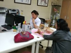 -北京观赏动物医院·24小时大型综合·猫专科·异宠专科