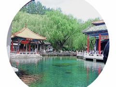 -趵突泉景区