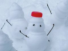 -武陵山森林公园