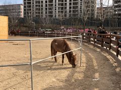 -太原动物园