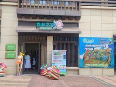 -苏州乐园森林水世界