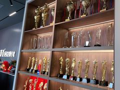 -索菲亚衣柜橱柜家具全屋定制(十里河居然之家店)