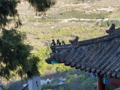 -北京鹫峰国家森林公园