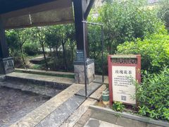 -英德宝晶宫天鹅湖茶语温泉