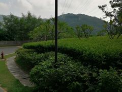 -小南山公园