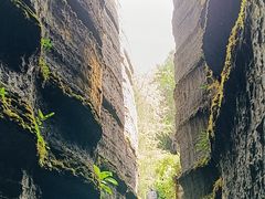 -梭布垭石林景区