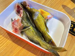 -铭记蛙小仙·活蛙畅享(CBD万达广场店)