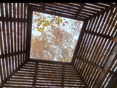 -春晖园度假酒店温泉