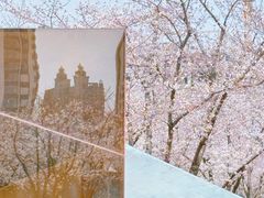 -龙美术馆(西岸馆)