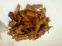 android_upload_pic-大铁勺新津菜(东丽阳光新业广场店)