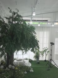 -非常六加一儿童摄影(北郡店)
