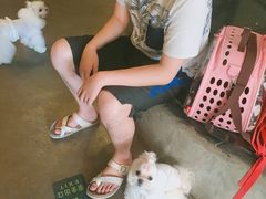 -百好乐宠物友好餐厅(朝外大街店)