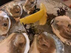 -db Bistro & Oyster Bar by Daniel Boulud(滨海湾金沙店)