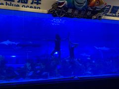 -成都浩海立方海洋公园