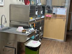 -中农大我爱我爱24h动物医院·中医针灸·猫专科·骨科医疗中心(双井店)