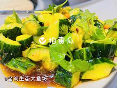 -老刘生态大鱼坊铁锅炖鱼(赛马场店)
