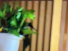 -尚荟汤泉生活馆