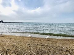 -撒拉人家.酸菜牦牛肉火锅